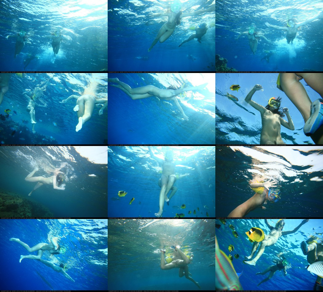 [Image: wVQ44mXYQ6.jpg]