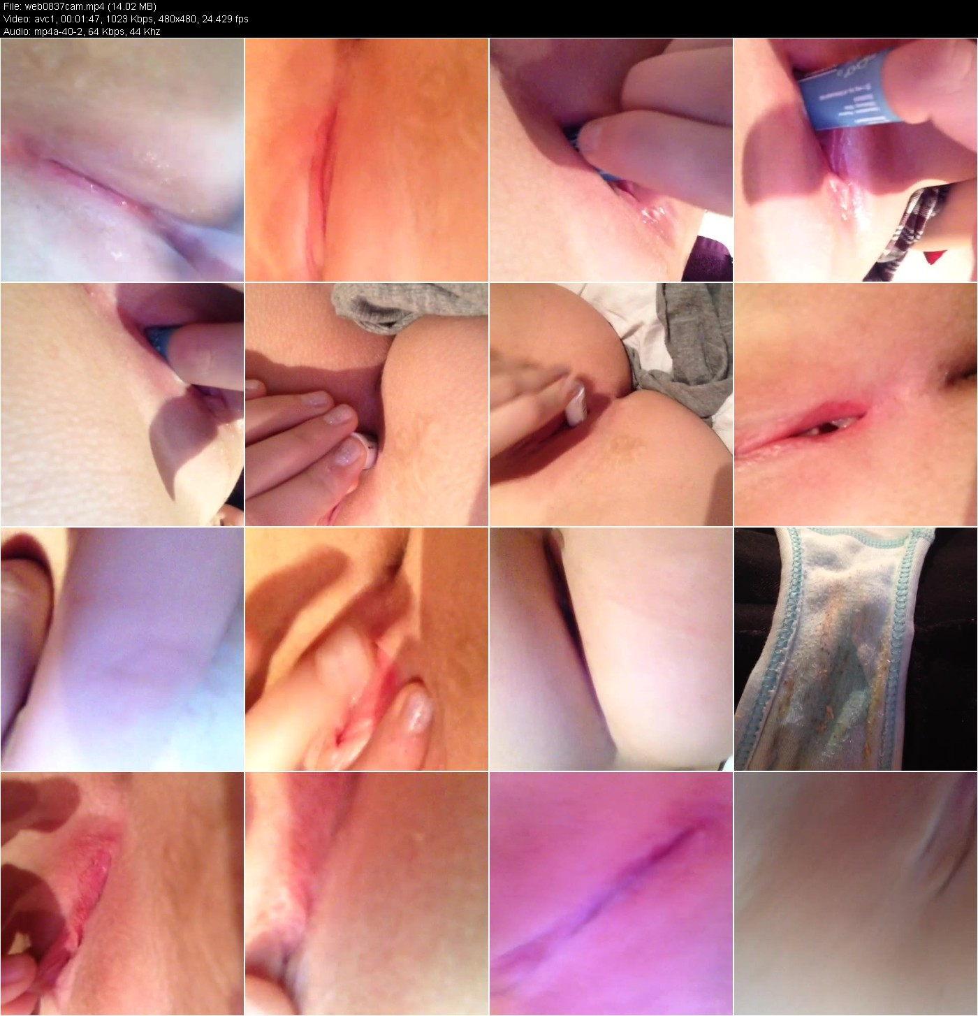 [Image: wnKGE3yAlZ.jpg]