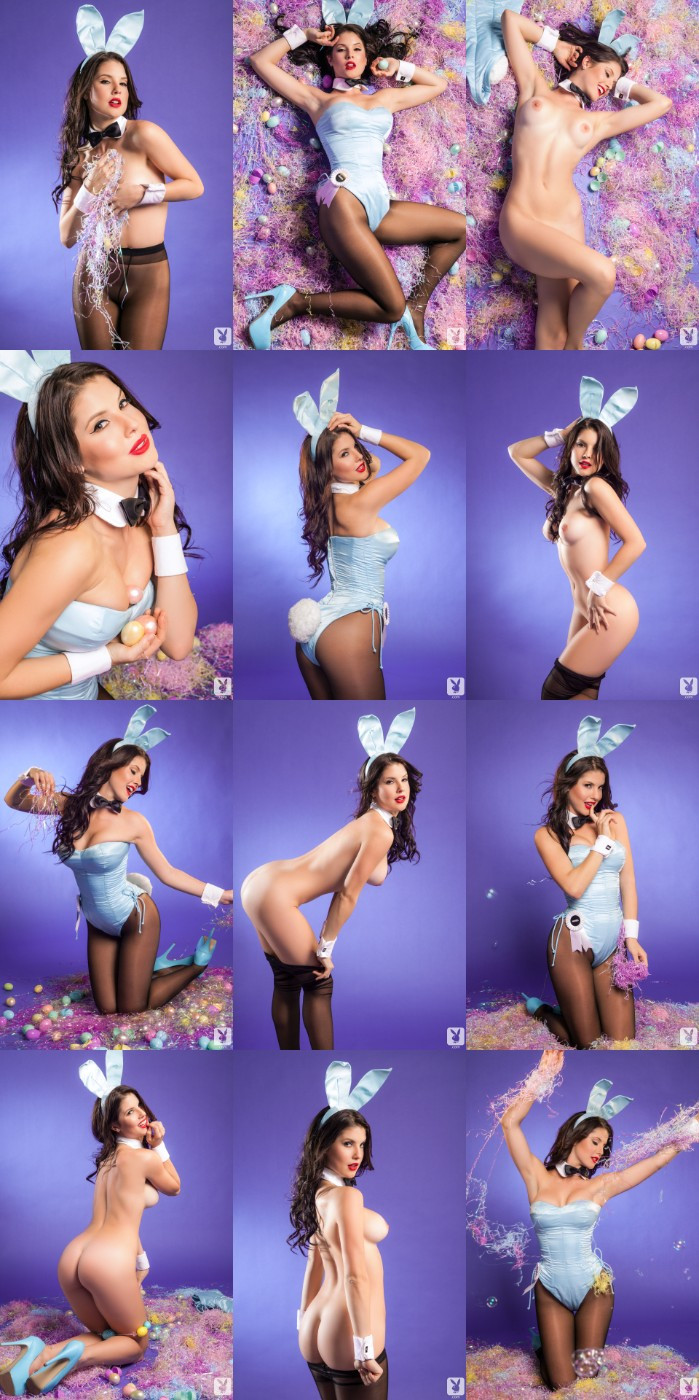 [Image: wnKGoqNnKZ.jpg]