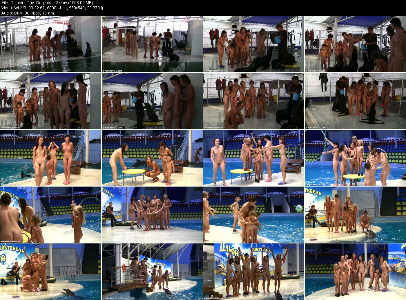 [Image: z3ldz3LoKA.jpg]