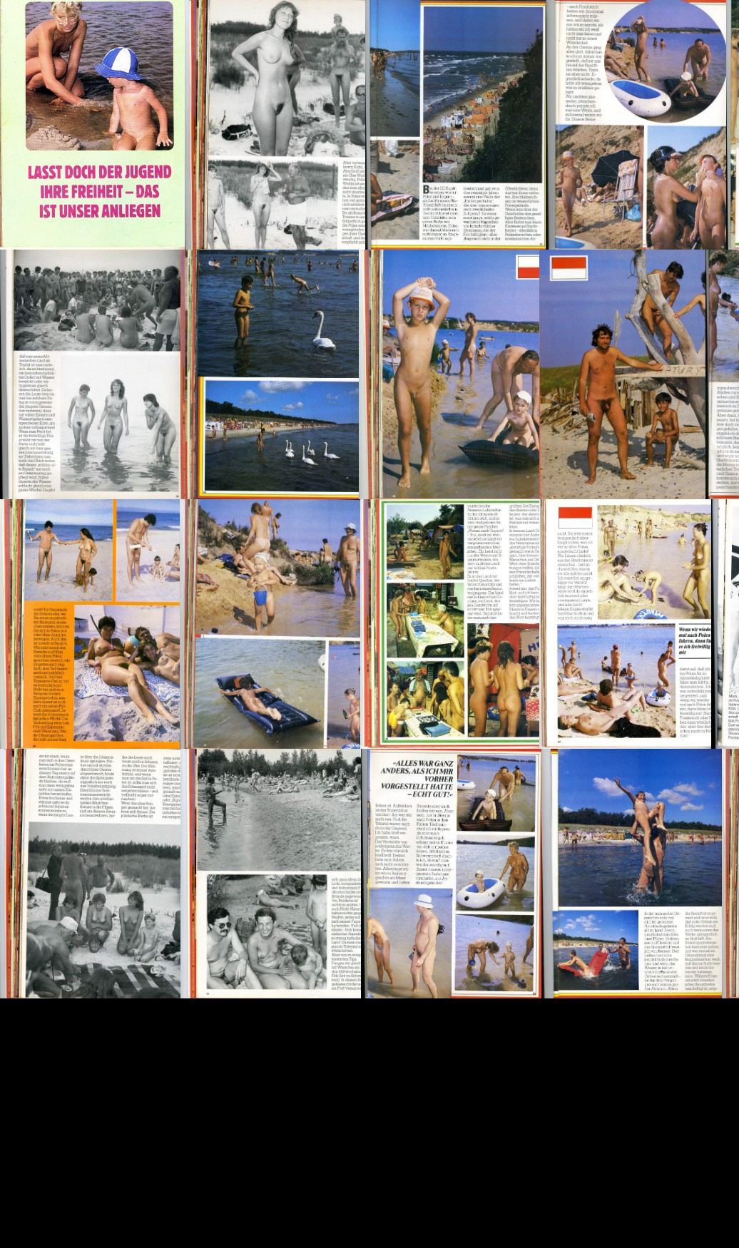 [Image: z3ldzmvkKA.jpg]