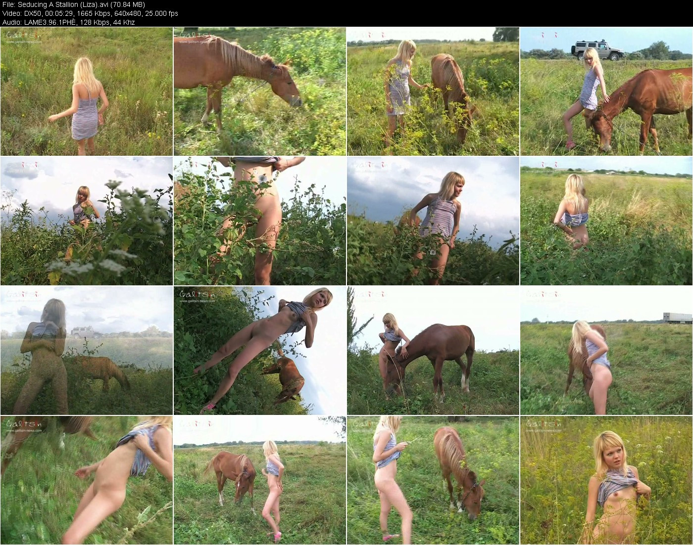 [Image: zVQ6j4zDQJ.jpg]