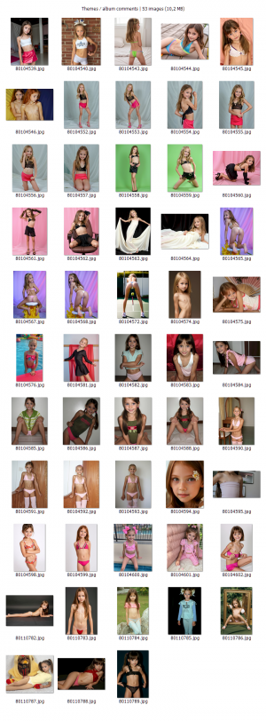 [Image: themes-album-comments.png]