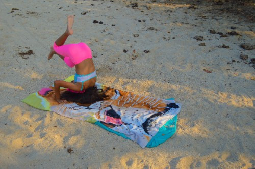 [Image: 3NKMRrnG5n.jpg]