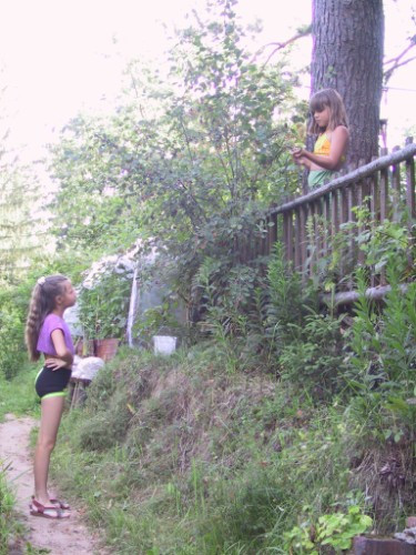 [Image: A6Kn488al3.jpg]