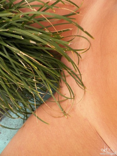 [Image: jmQWAOOA5W.jpg]