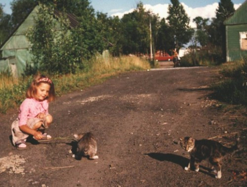 [Image: nR53A44wQq.jpg]