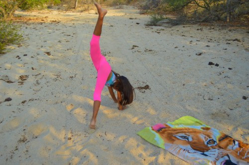 [Image: q35D89Zx5J.jpg]