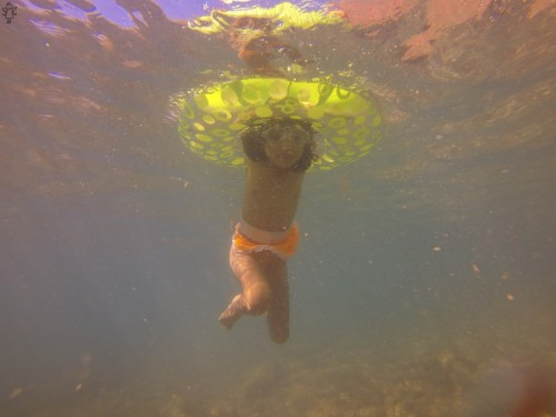 [Image: qglegRyaKG.jpg]