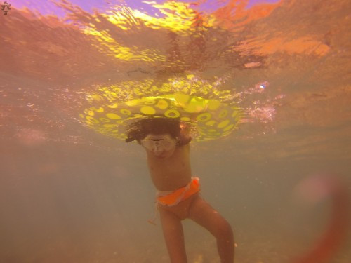 [Image: qx5v4jO9Qp.jpg]