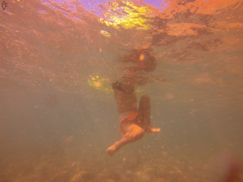 [Image: qxQPnWjB54.jpg]