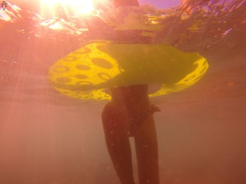 [Image: vVlo4jDPQd.jpg]