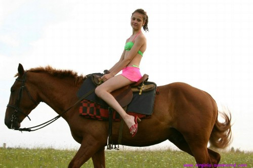 [Image: w7QaBeb0KR.jpg]