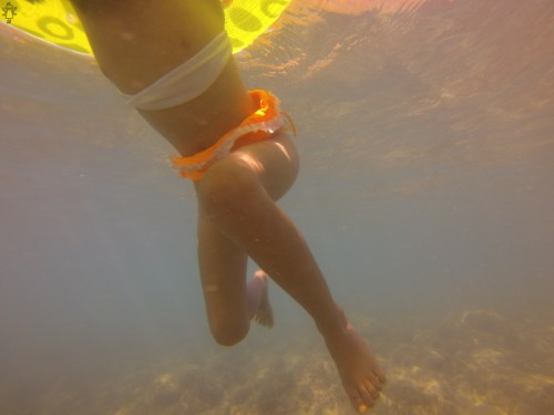 [Image: wnKGr8j4QZ.jpg]