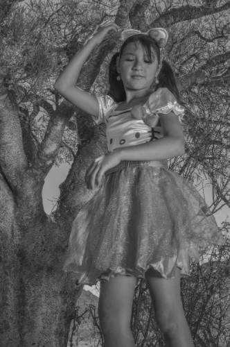 [Image: wnKGrD1AQZ.jpg]