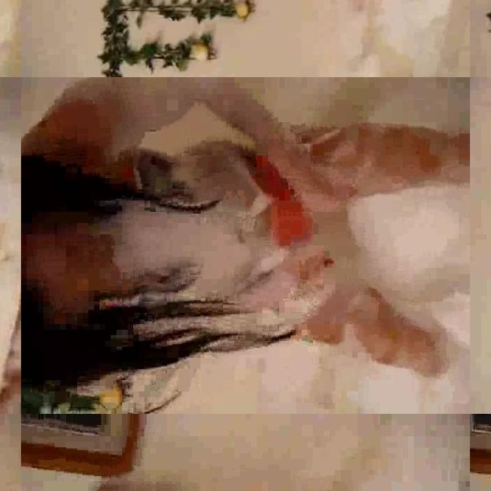 [Image: 7PQxZqR15Z.jpg]