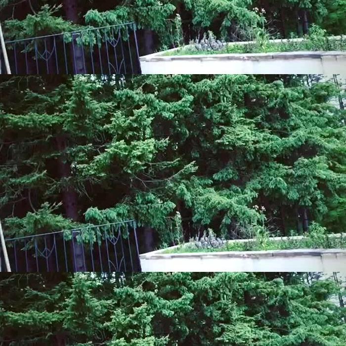 [Image: A6KnoN4L53.jpg]