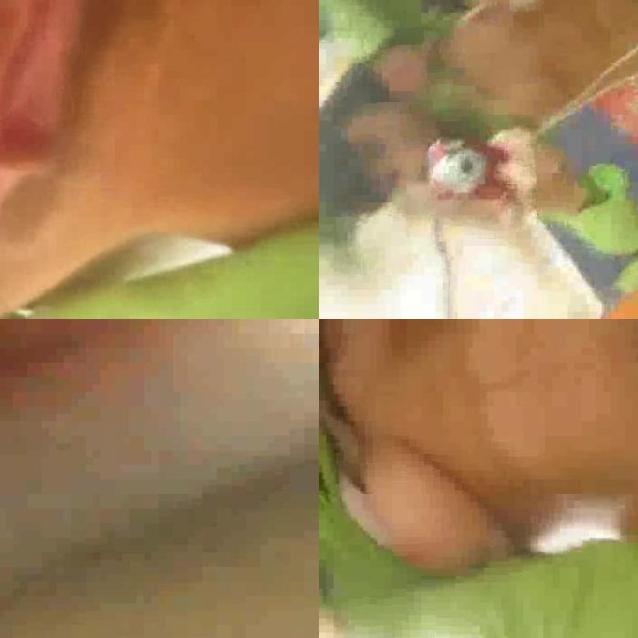 [Image: ABQpLB8YQe.jpg]