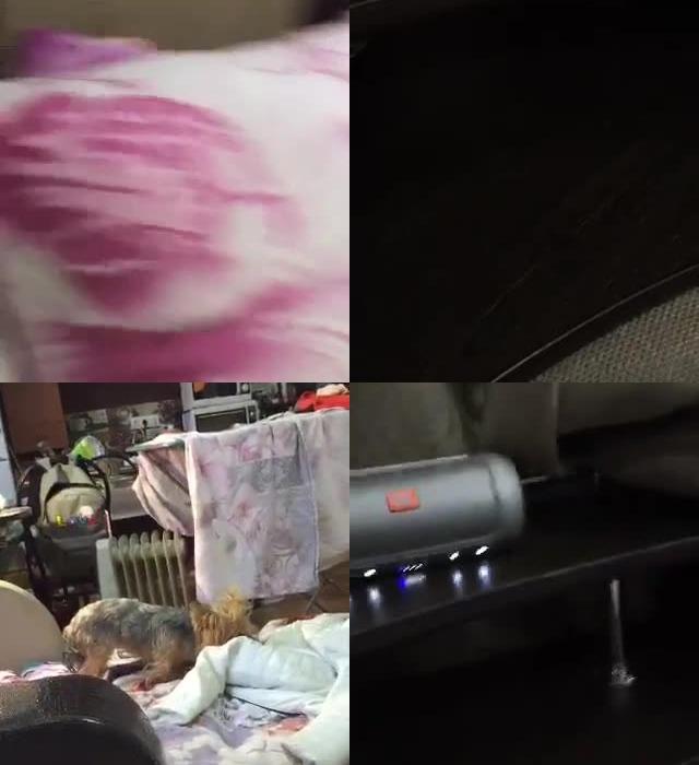 [Image: B151mgPG5y.jpg]