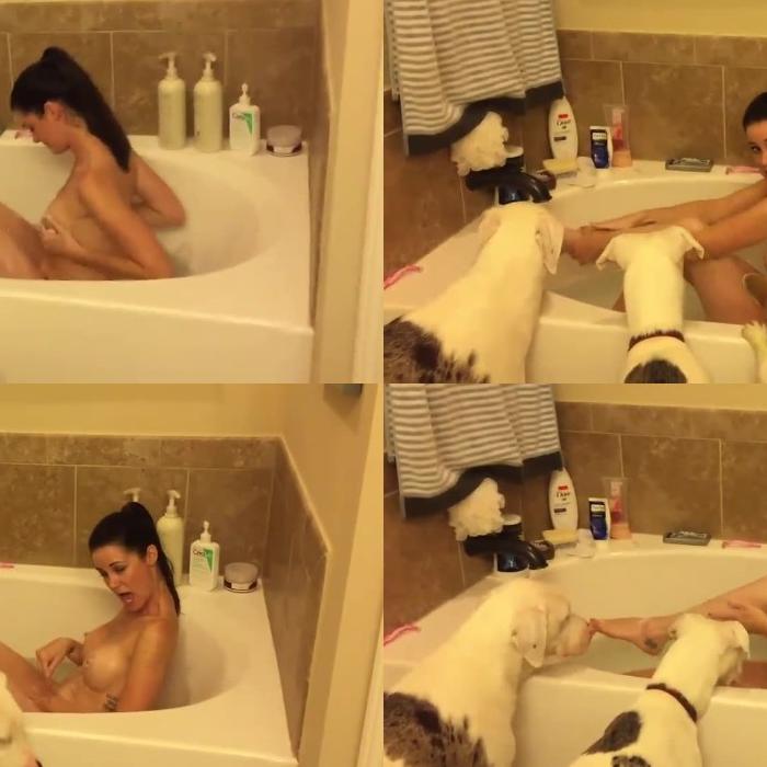 [Image: PVKZxGj1lq.jpg]