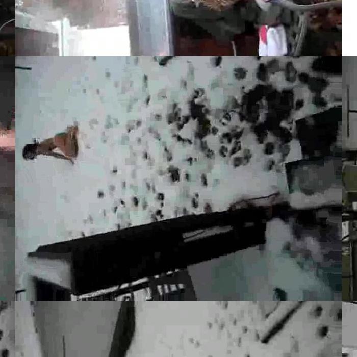 [Image: V3QRRkMNQm.jpg]