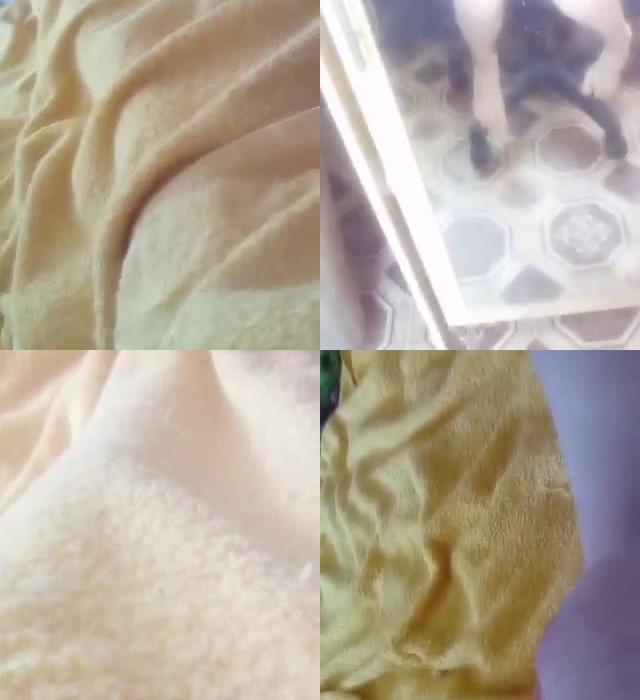 [Image: bn5rkMJ1l7.jpg]