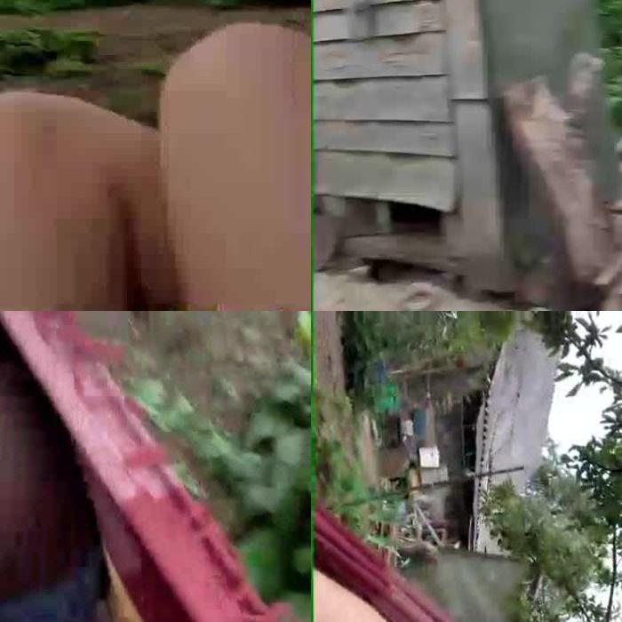 [Image: nR537G9q5q.jpg]