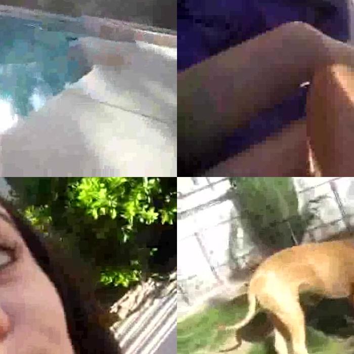 [Image: q7QwyRNZ5V.jpg]