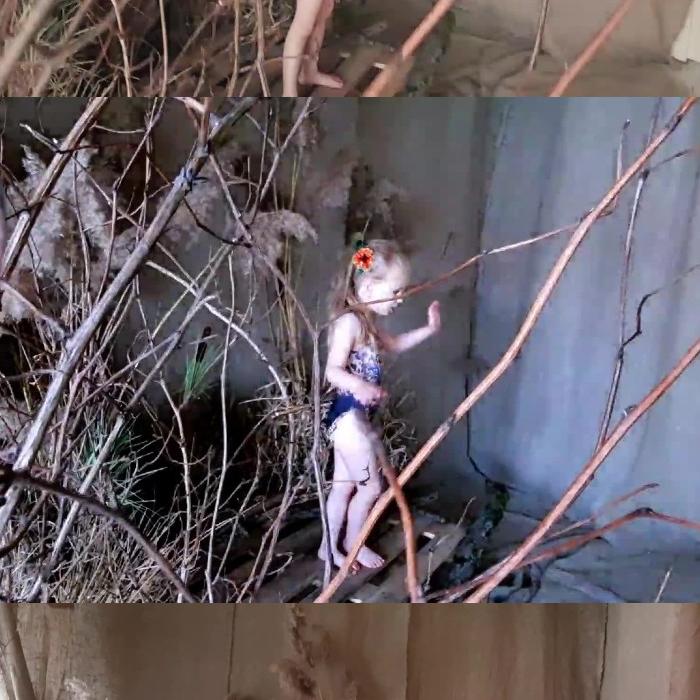 [Image: rPK2n13qKv.jpg]