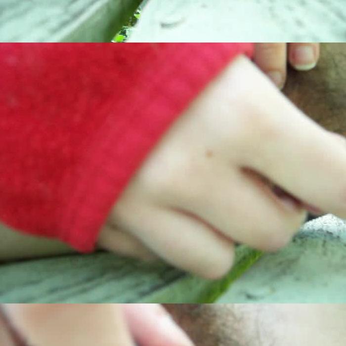 [Image: vVlonyY65d.jpg]