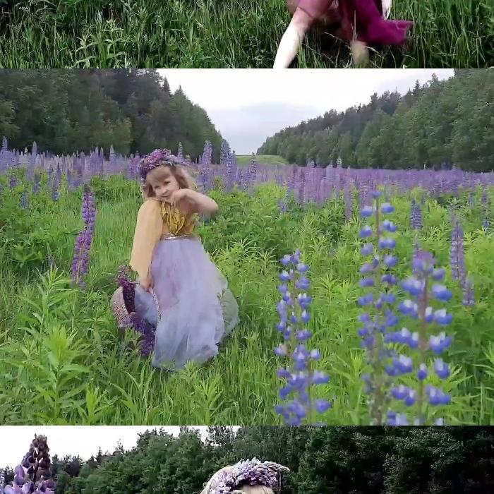 [Image: w7Qa2WjeKR.jpg]