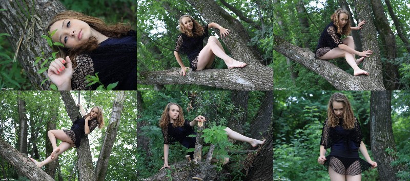 [Image: 3NKM3vONln.jpg]