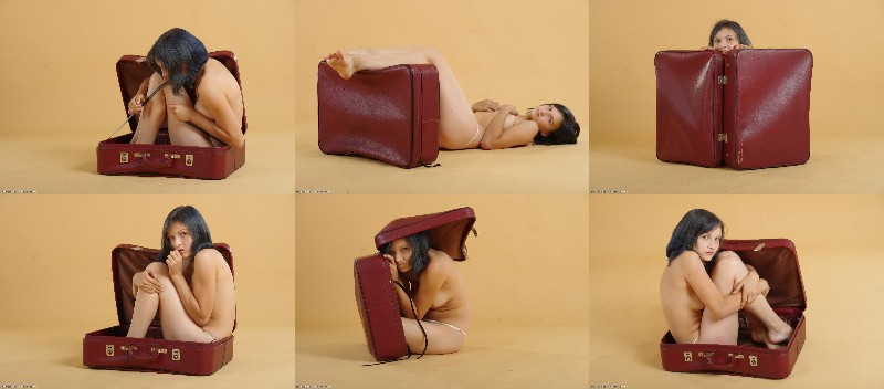 [Image: 3NKMqmANKn.jpg]