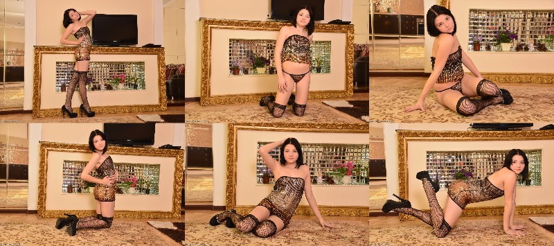 [Image: 7PQxMLG6KZ.jpg]