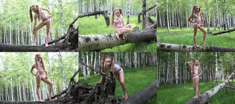 [Image: 7PQxNwW65Z.jpg]