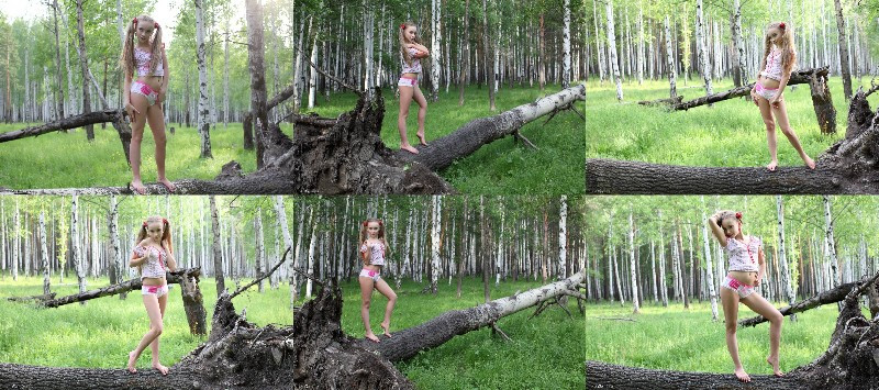 [Image: ABQp8oxJQe.jpg]