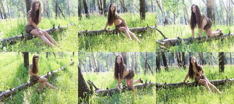 [Image: ALKbgOLm5n.jpg]