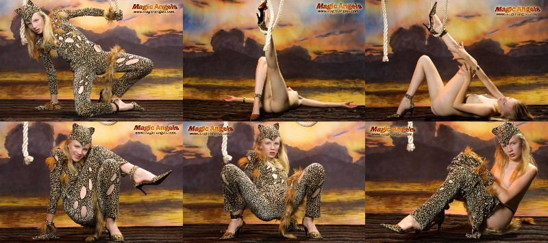 [Image: ALKbk0gG5n.jpg]