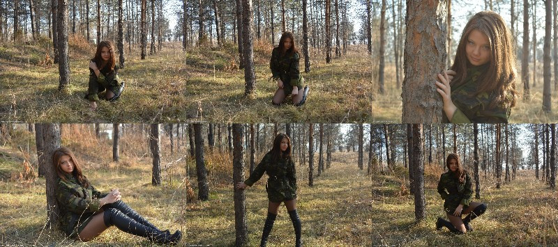 [Image: ALKbkryX5n.jpg]