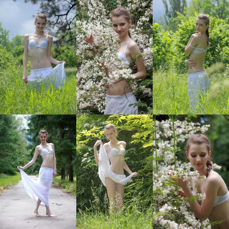 [Image: B1514R7rKy.jpg]