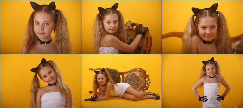 [Image: B1514pDGKy.jpg]