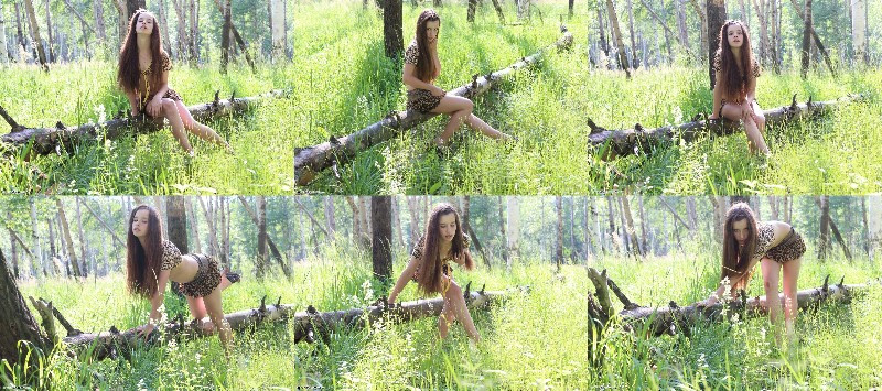 [Image: EOQJyb3YlJ.jpg]