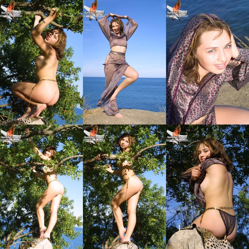 [Image: GdQy0G7ely.jpg]