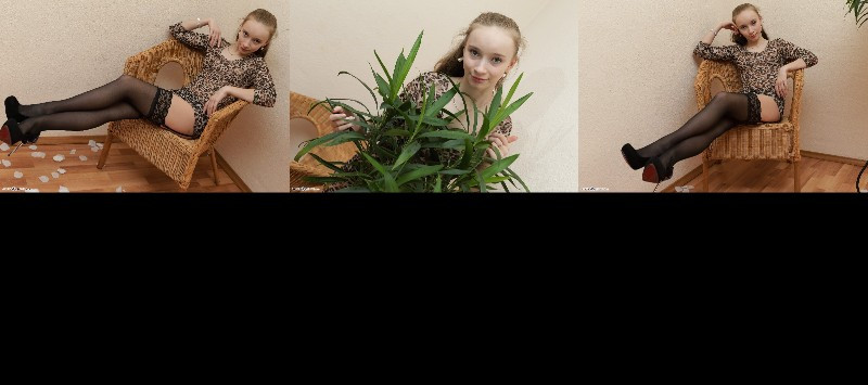 [Image: M9Qgz3wyla.jpg]