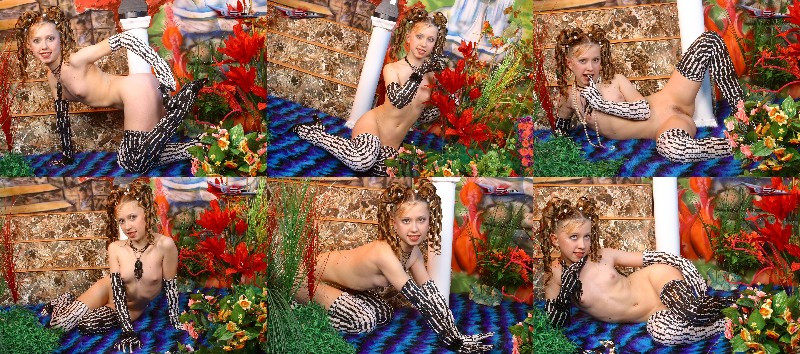 [Image: NPQq43aBld.jpg]