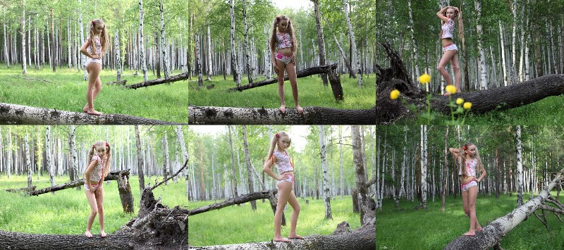 [Image: NPQq4OE9ld.jpg]