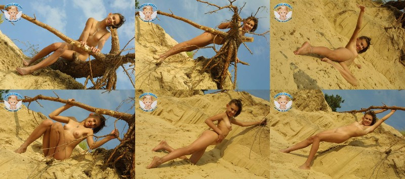 [Image: V3QRXGGe5m.jpg]