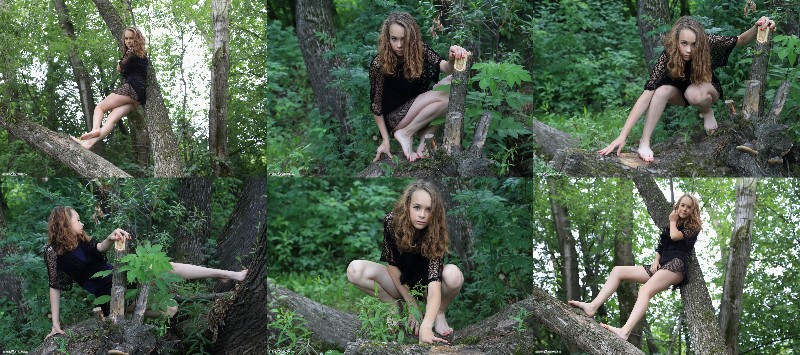 [Image: V3QRnvJjQm.jpg]