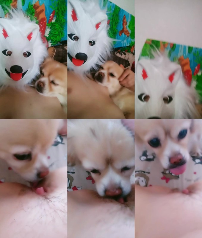 [Image: V3QRqdNmlm.jpg]