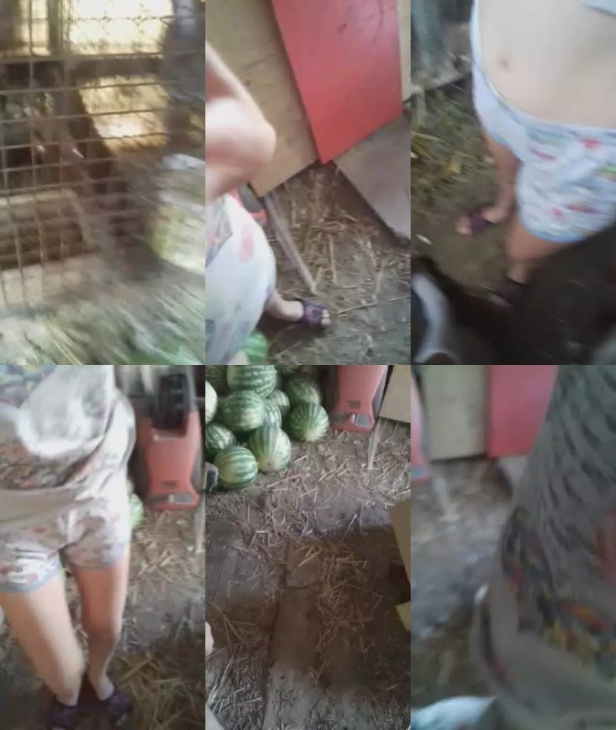 [Image: ZV5EGMnwQX.jpg]